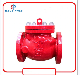 UL/FM Listed Grooved Fire Fighting Swing Check Valve with Flange Ends