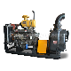  Zw Non-Clogging Horizontal Self-Priming Diesel Water Pump