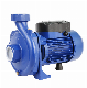  Werto Scm Series Wholesale Hydraulic Centrifugal Water Powered Pump Water Pump