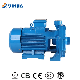  Yinjia Electric Double Impeller 7.5HP Three Phase Centrifugal Water Pump for Farming