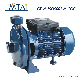  Electric Agricultural Irrigation  Centrifugal Casting Iron Water Pump CPM