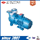  2BV-5161 Single/Two/Double Stage Liquid-Water-Ring Vacuum Pump in China (System)