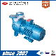 2BV-5161 Single/Two/Double Stage Liquid-Water-Ring Vacuum Pump in China (System)