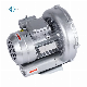  Max Airflow 98 M³ /H High Pressure Air Blower Vacuum Pump 0.45 Kw Oil-Free Rotary Vane Pump for CNC