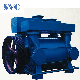  900~1800kw Water Liquid Ring Vacuum Pump for Paper Making