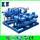  Single/Two/Double Stage Liquid-Water-Ring Vacuum Pump in China (System)