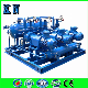 Single/Two/Double Stage Liquid-Water-Ring Vacuum Pump in China (System)