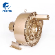  2.2kw High Pressure Side Channel Blower Ring Blower
