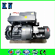  Rotary Vane Vacuum Pump for Vacuum Flame Refining to Be Used as The Front Pump to Get Higher Vacuum