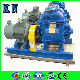  New 2be1 405 Liquid/Water Ring Vacuum Pump for Food-Related Industry