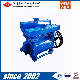  2bea-2be1-103 Liquid Ring Vacuum Pump with Motor