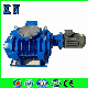  Roots Vacuum Pump with High Vacuum for Metallurgical Industry