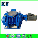 Roots Vacuum Pump with High Vacuum for Metallurgical Industry