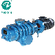  5.5kw Zj -600 Roots Vacuum Pump