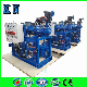 China Electric Pumps Liquid Water Ring Vacuum Pump for Milking Machine or Plastic Extrusion Line with Siemens Motor