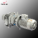 Mbe0500 150L/S Roots Vacuum Pumps