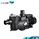  China Manufacturer Swimming Pool Pump Pond Pump with Fliter