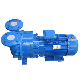  2BV High Quality Wholesale Horizontal Single Stage Steel Water Ring Vacuum Pump