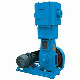 Wlw Heavy Duty Vertical Oil-Free Piston Reciprocating Vacuum Pump