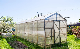  Wuxi Zewo 2023 High Quality Greenhouse Waterproof PVC Cover Garden Cooling System with Pump Greenhouse
