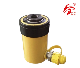 60t 76mm American Design Hollow Plunger Cylinder (RCH-603)