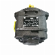 Sunny Cp0 Hydraulic Oil Pump Cp0-10-P-20r Cp0-10-P-10r Cp0-16-P-10r Internal Gear Pump High Pressure Pump for Cutting Machine