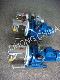 Stainless Steel Gerotor Pump