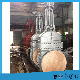  ANSI DIN GOST JIS Industrial Rising Stem Steel Motor Gear Operated Wedge Gate Valve Manufacturer for Oil Water Gas