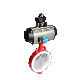  Two Holes Full PTFE PFA Lined Without Pin Butterfly Valve with Lever Operator