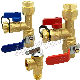 3/4-Inch IPS Isolator Tankless Water Heater Service Valve Kit with Pressure Relief Valve