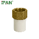 Ifan Factory Price CPVC/PVC/UPVC Pipe Fittings ASTM 2846 Brass Female Socket Plumber manufacturer