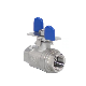 Wenzhou Bstv 3/4" 2PC Stainless Steel 304 Butterfly Handle Ball Valve with NPT