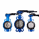 Resilient Seated Ductile Cast Iron Industrial Control Wafer Lug Butterfly Valves with EPDM PTFE PFA Rubber Lining