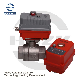 Electric Control Irrigation System 2 PC Water Ball Valve