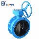  Tianjin-Made API Flange Butterfly Valve for Industrial Control