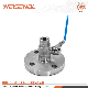  High Quality Ballvalve Fast Delivery Qf-G1/2. SAE25 Low Pressure Flange Ball Valve