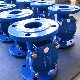 Customization Flange Ductile Iron/Cast Steel Swing Rubber Flapper Disc Check Valve