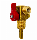  Pz27.8 Joint Thread to Cylinder CNG Valve with Excess Flow Device