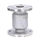  304/316 Stainless Steel Flanged Check Valve Vertical Check Valve Pipeline Anti-Backflow Valve