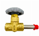  Low Temperature Short Stem Globe Valve with 400psi