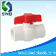 Water Manual Type China PVC Compact Ball Valves