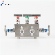 High Temperature SS316 5-Port Manifolds Stainless Steel Needlevalve Manifolds NPT and BSPP