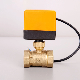 Plastic Actuator Air Conditioner Brass Solenoid Motorized Control Electric Gas Ball Valve