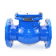 Ductile Cast Iron Double Flanged Brass Seat Swing Check Valve Non Return Check Valve