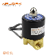 2W Series 2W 025 06 2W025-08 Diaphragm Pneumatic Brass Solenoid Valve Normal Close for Water