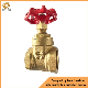 NPT Thread Oil and Gas Pipeline Brass Ball Valve Copper Knife Gate Valve 1/2-4 manufacturer