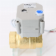 2 Way Electric Control Brass Water Ball Valve Motorized Actuator Brass Ball Valve with Manual Operation (T25-B2-B)