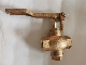  Industry Bronze Self - Closing Cleaning Valve