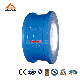 Ceramic Lined Disc Type Wafer Check Valve (GH72TC)