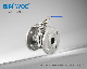  2PC Stainless Steel Full Port Flanged Ball Valve with Mounting Pad ISO5211 Highplat Form Pn16/Pn40 2inch